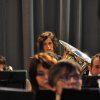 _DSC0051r